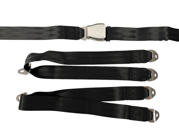 FXXX0004 - Lap belt and brace kit (316SS) with fasteners